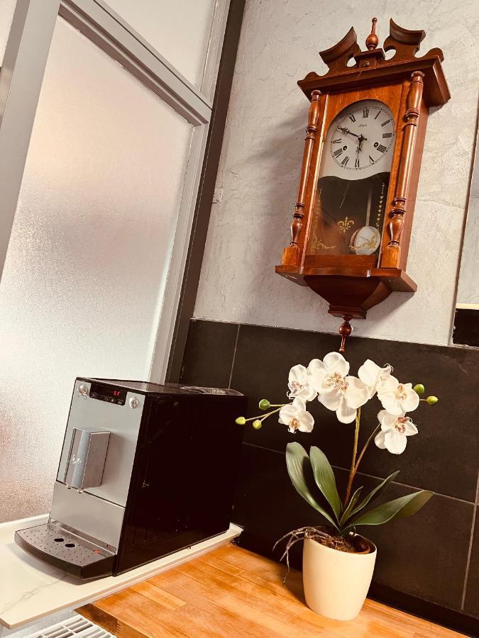 Vivi * Wolfenbüttel